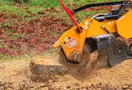Lawn Maintenance Plans in Red Wing, MN